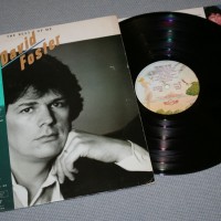 DAVID FOSTER - THE BEST OF ME - ���������