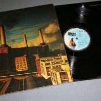 PINK FLOYD - ANIMALS - 