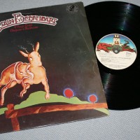 CAPTAIN BEEFHEART AND THE MAGIC BAND - BLUEJEANS & MOONBEAMS - 