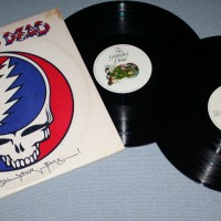 GRATEFUL DEAD - STEAL YOUR FACE (a) - ���������