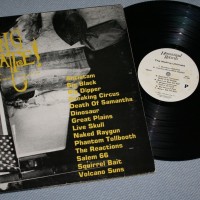 WAILING ULTIMATE! - HOMESTEAD RECORDS COMPILATION - ���������