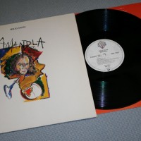 MILES DAVIS - AMANDLA - 