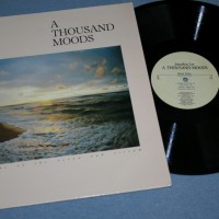 JONATHAN LEE - A THOUSAND MOODS - ���������