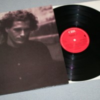 MICHAEL BOLTON - THE HUNGER - 