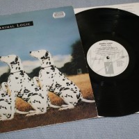 ANIMAL LOGIC - ANIMAL LOGIC - ���������