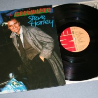 STEVE HARLEY - THE CANDIDATE - ���������