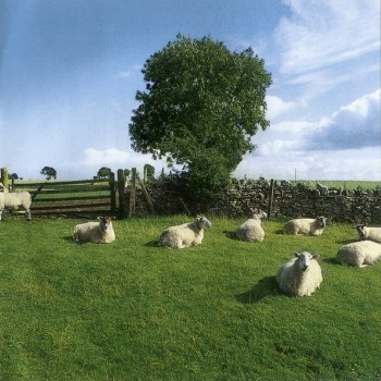 KLF - CHILL OUT - 