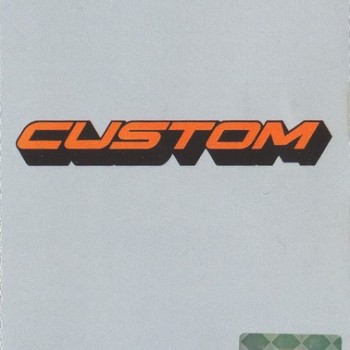 CUSTOM - FAST - 