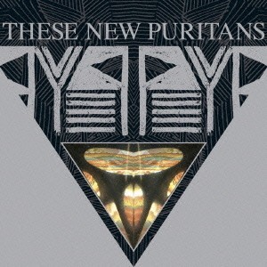 THESE NEW PURITANS - BEAT PYRAMID - 