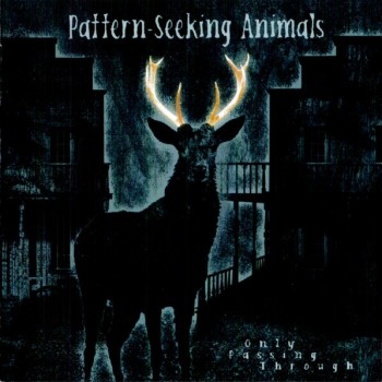 PATTERN-SEEKING ANIMALS - ONLY PASSING THROUGH - 