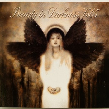BEAUTY IN DARKNESS VOL. 5 - VARIOUS ARTISTS (digipak) - 