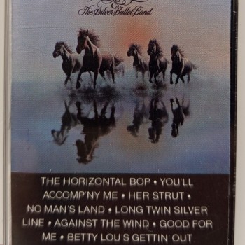 BOB SEGER AND THE SILVER BULLET BAND - AGAINST THE WIND - ���������