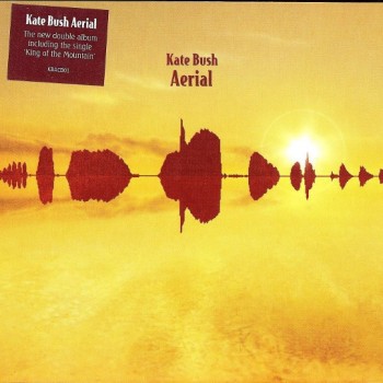 KATE BUSH - AERIAL (cardboard sleeve) - ���������