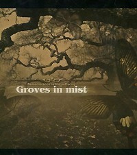 GROVES IN MIST - REMEMBRANCE IN THE SUFFERING - 