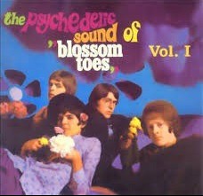BLOSSOM TOES - WE ARE EVER SO CLEAN - Меломания