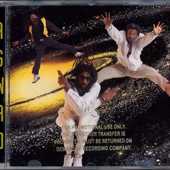 ASWAD - DUB: THE NEXT FRONTIER - 