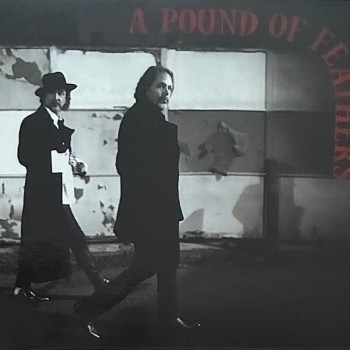 BLACK CROWES - A POUND OF FEATHERS - ���������