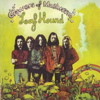 LEAF HOUND - GROWERS OF MUSHROOM - 