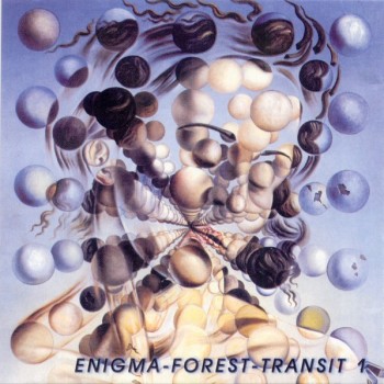 ENIGMA-FOREST-TRANSIT 1 - VARIOUS ARTISTS - 