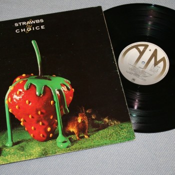 STRAWBS - CHOICE (uk) - ���������