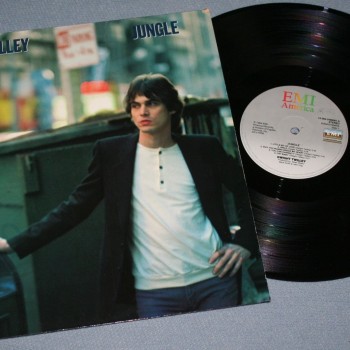 DWIGHT TWILLEY - JUNGLE - ���������
