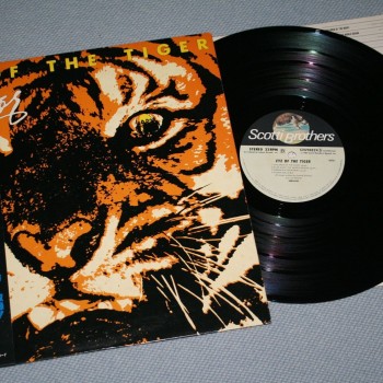 SURVIVOR - EYE OF THE TIGER (j) - 