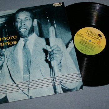 ELMORE JAMES - GOT TO MOVE - ���������