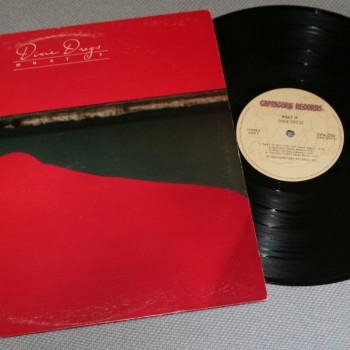 DIXIE DREGS - WHAT IF - ���������