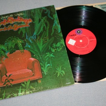 JOY OF COOKING - CLOSER TO THE GROUND (a) - ���������