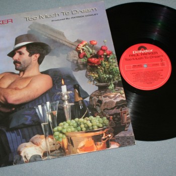 PAUL PARKER - TOO MUCH TO DREAM - ���������