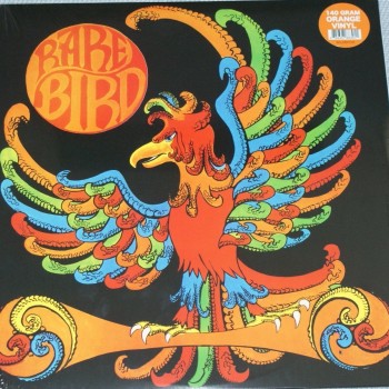 RARE BIRD - RARE BIRD (colour) - Меломания
