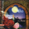 BLACKMORE'S NIGHT - GHOST OF A ROSE - 