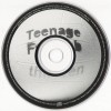 TEENAGE FANCLUB - THIRTEEN - 