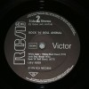 LOU REED - ROCK N ROLL ANIMAL - 