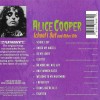 ALICE COOPER - SCHOOL'S OUT AND OTHER HITS - 
