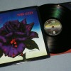 THIN LIZZY - BLACK ROSE (j) - 