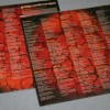 FREEDOM CALL - BEYOND (colour orange) - 