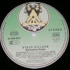 STEVE HILLAGE - MOTIVATION RADIO - 
