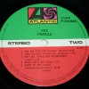 YES - FRAGILE (j) - ���������