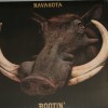 NAVASOTA - ROOTIN' - 