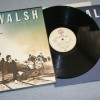 JOE WALSH - YOU BOUGHT IT - YOU NAME IT - 