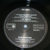 BANANARAMA - LOVE IN THE FIRST DEGREE (single) - 