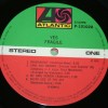 YES - FRAGILE (j) - ���������