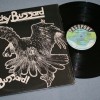 TUCKY BUZZARD - BUZZARD! (a) - 