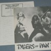 TYGERS OF PAN TANG - WILD CAT - 