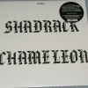 SHADRACK - SHADRACK CHAMELEON - 