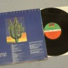 CACTUS -NEW CACTUS BAND - SON OF CACTUS (j) - 