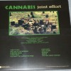 CANNABIS - JOINT EFFORT - 