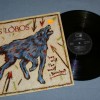 LOS LOBOS - HOW WILL THE WOLF SURVIVE? - 