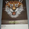 SARAGOSSA BAND - MATCHLESS (+poster) - 